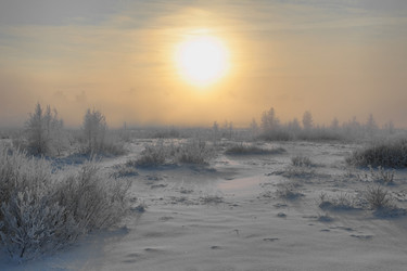 Similar image 1099988