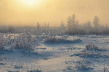 Similar image 1099989