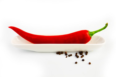 Similar image 1100046