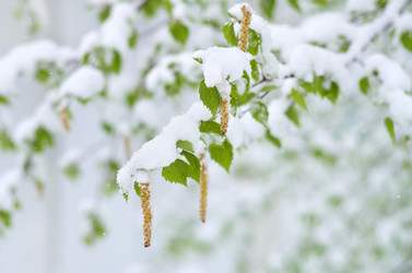 Similar image 1100056