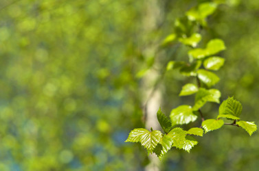 Similar image 1100057