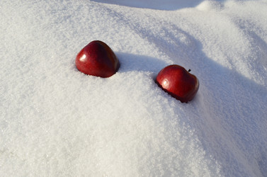 Similar image 1100082