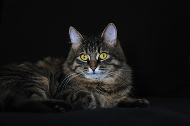 Similar image 1100132