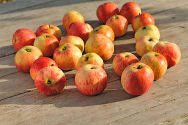 Similar image 1100134