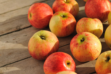 Similar image 1100135