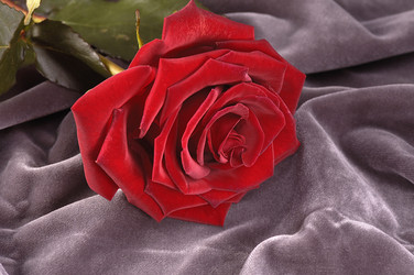 Similar image 1100136