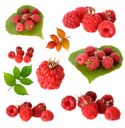 Similar image 1100139