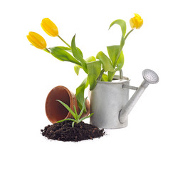 Similar image 1100140