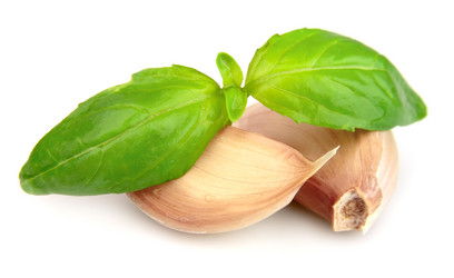 Similar image 1100151