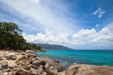 Similar image 1100163