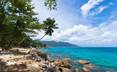 Similar image 1100167