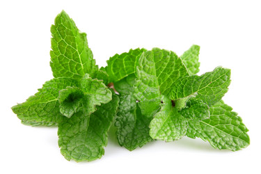 Similar image 1100177