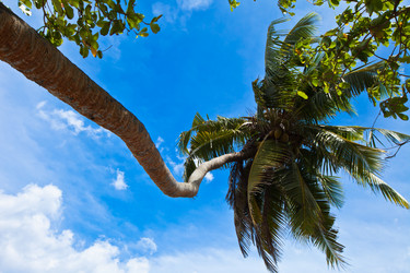 Similar image 1100184