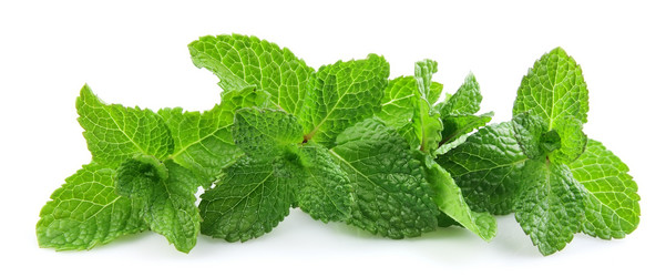 Similar image 1100188