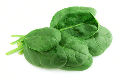 Similar image 1100192