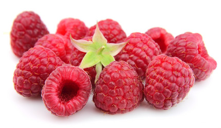 Similar image 1100195