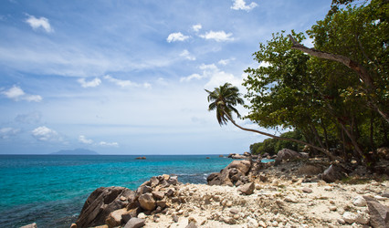 Similar image 1100196