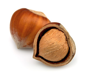 Similar image 1100199