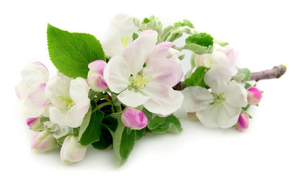 Similar image 1100209