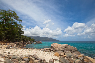 Similar image 1100220