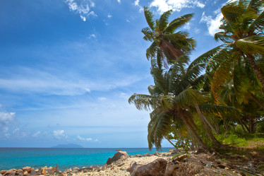 Similar image 1100221