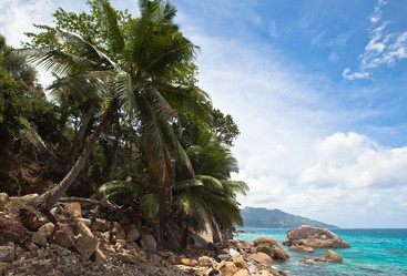 Similar image 1100240