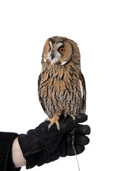 Similar image 1100249