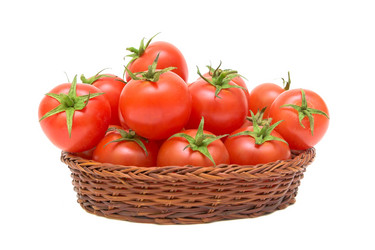 Similar image 1100271