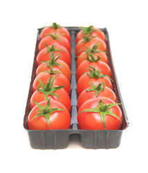 Similar image 1100272