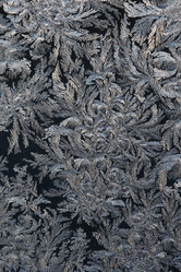 Similar image 1100273