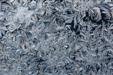 Similar image 1100275