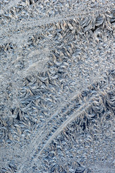 Similar image 1100276