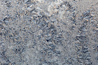 Similar image 1100277