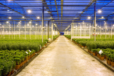 Similar image 1100705