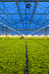 Similar image 1100716