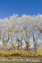 Similar image 1100717