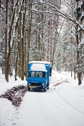 Similar image 1100718