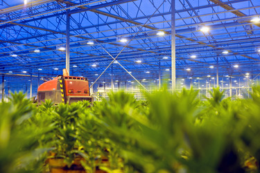 Similar image 1100719