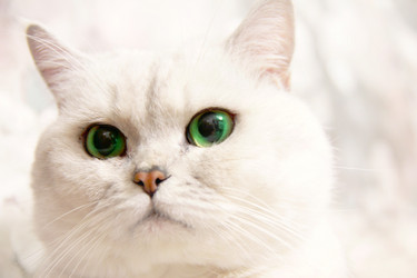 Similar image 1100774