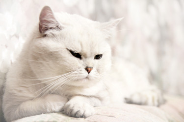 Similar image 1100775