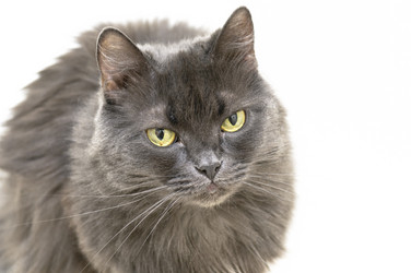 Similar image 1100804