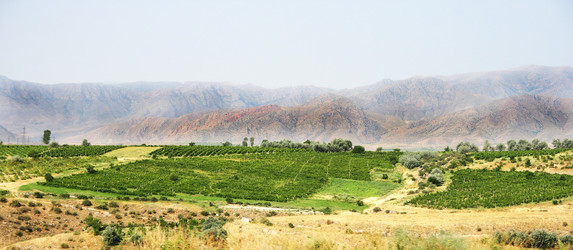 Similar image 1100841