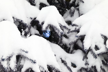 Similar image 1100886