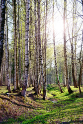 Similar image 1100931