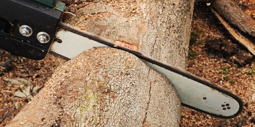 Similar image 1100970