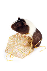 Similar image 1100981