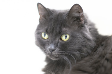 Similar image 1101057