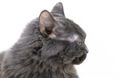 Similar image 1101058