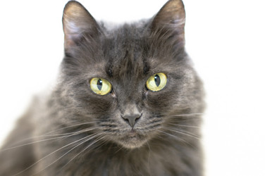 Similar image 1101059