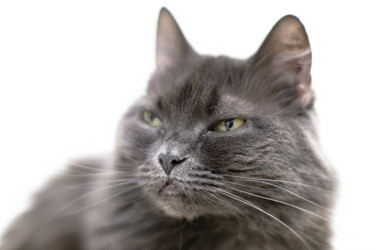 Similar image 1101061